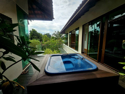 Toh Estate (D17), Detached #453946611